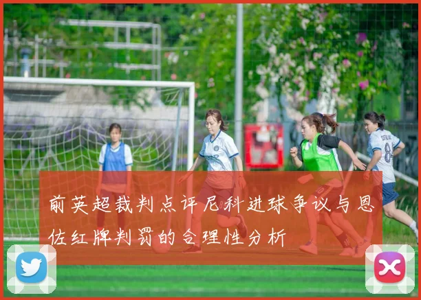 前英超裁判点评尼科进球争议与恩佐红牌判罚的合理性分析