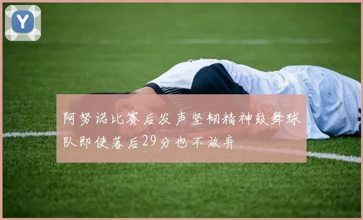 阿努诺比赛后发声坚韧精神鼓舞球队即使落后29分也不放弃